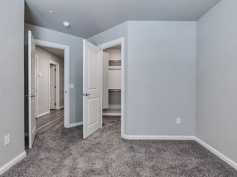 2641 Cedar Tree Rd — Photo 24