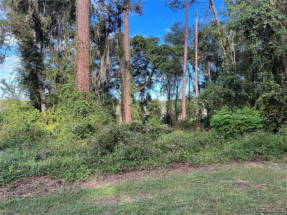 2nd image of 4556 S Rainbow Dr
