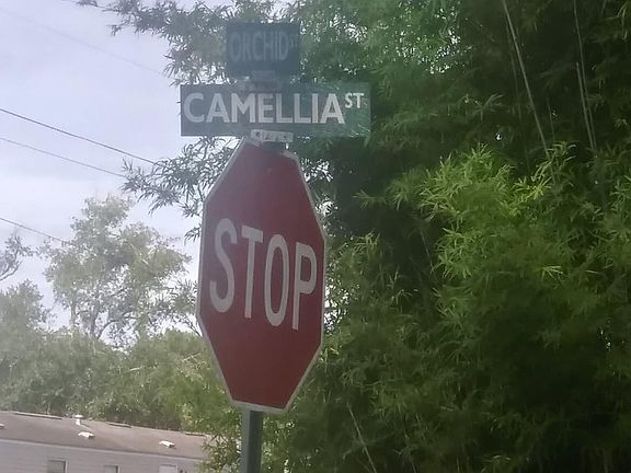 2nd image of 17179 Camellia St #47
