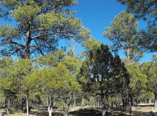 2555 Sioux Ln, Happy Jack, AZ 86024