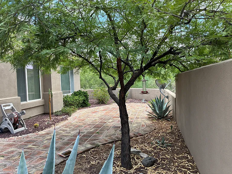 33110 N 72nd Pl — Photo 32