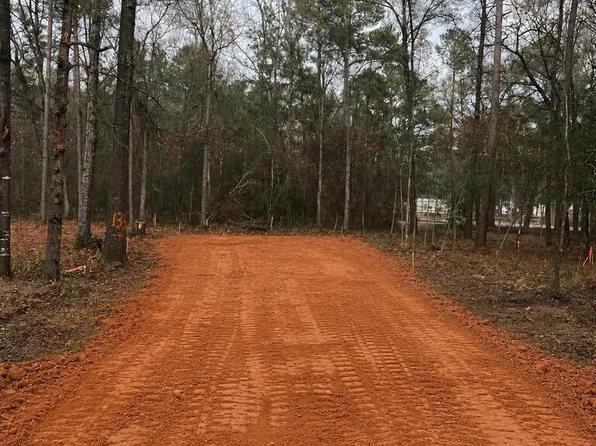 136 Forest Dr, Livingston, TX 77351