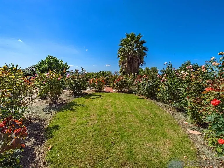31598 Afton Farms Ln — Photo 36