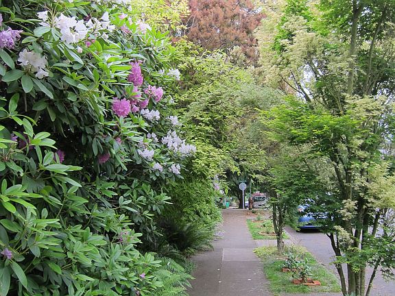 Sidewalk in front of entryway to unit
