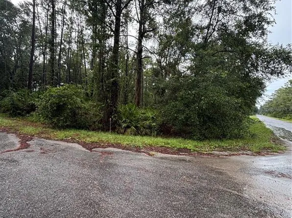 Sequoia Drive Trl Lot 4, Ocklawaha, FL 32179
