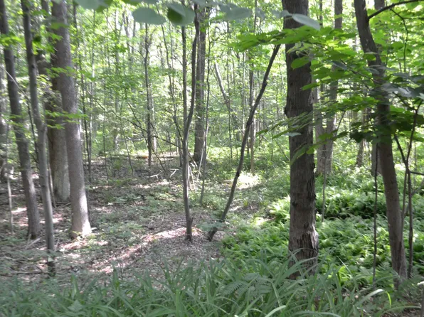 1556 W Newberg Rd, Pinconning, MI 48650