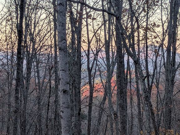 3rd image of 84 Knights Way