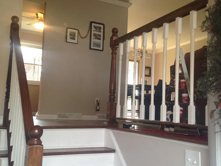 1602 Sapling St — Photo 3