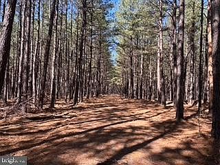 4th image of Ashton Woods Subd