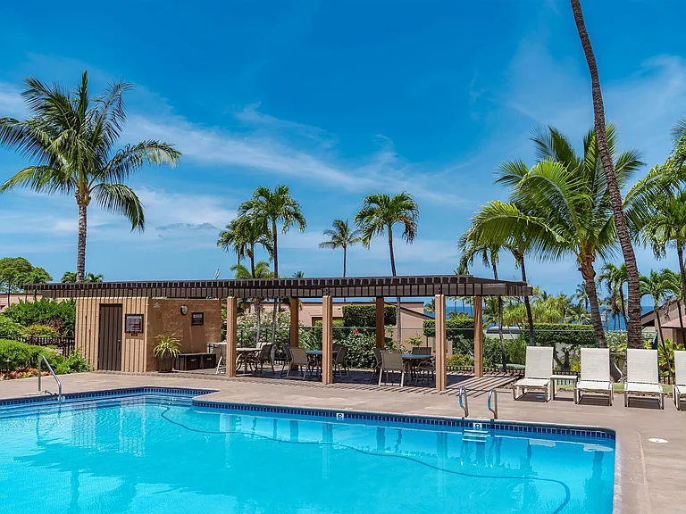 Wailea Alanui Dr — Photo 38