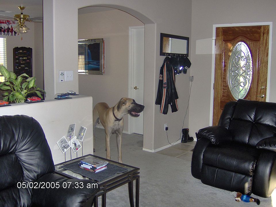 part of livingroom and den