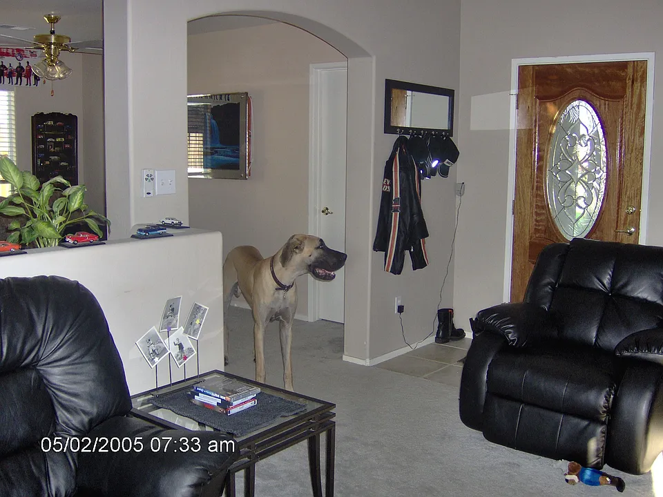 part of livingroom and den