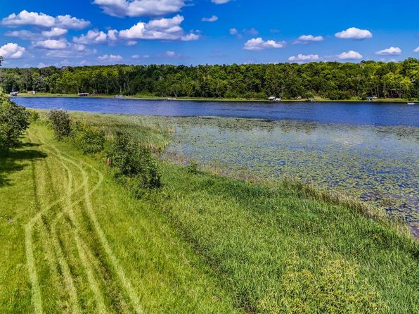 290XX N Buffalo Lake Rd E, Callaway, MN 56521