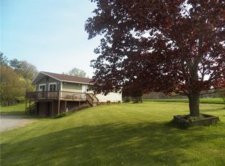 9199 Big Tree Rd, Hemlock, NY 14466