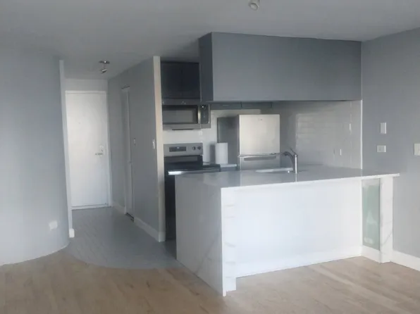 1221 N Dearborn St, Chicago, IL