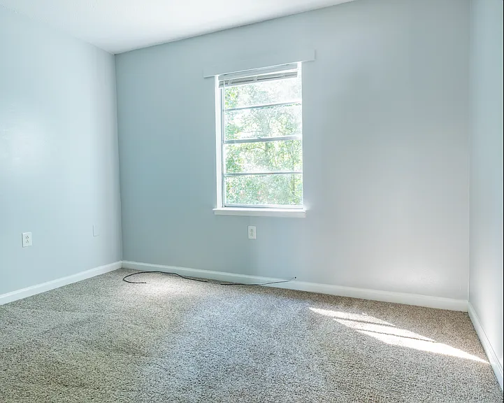 Palmetto Place Apartments — Photo 21