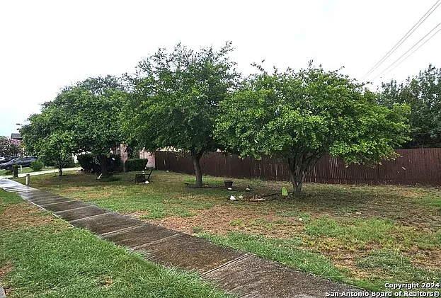 208 Springtree Cv — Photo 36