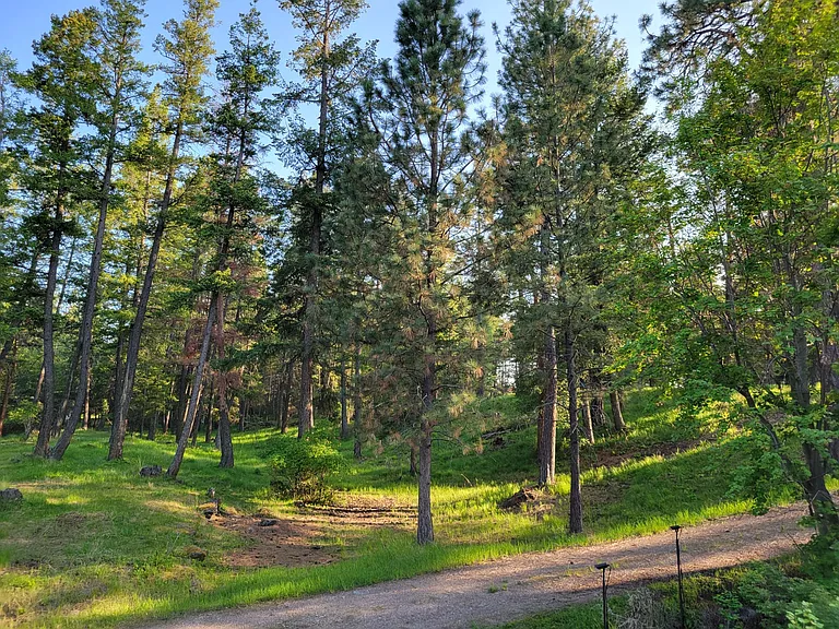 34373 Hilltop Dr — Photo 44