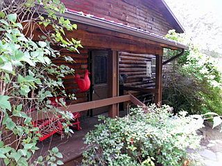 1st image of 168 Pats Ln