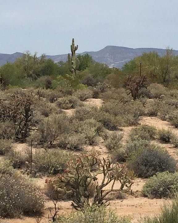 1st image of 8464 E Whisper Rock Trl