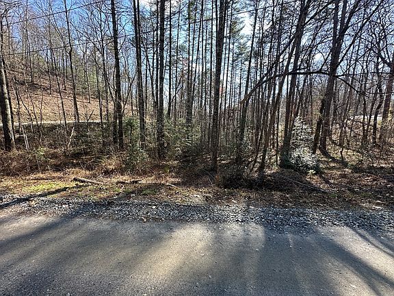 4th image of 2 Acres Black Walnut Ln