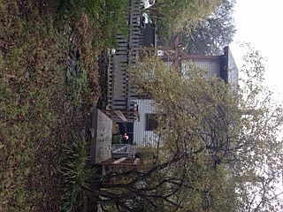 IMG_1469_02092015