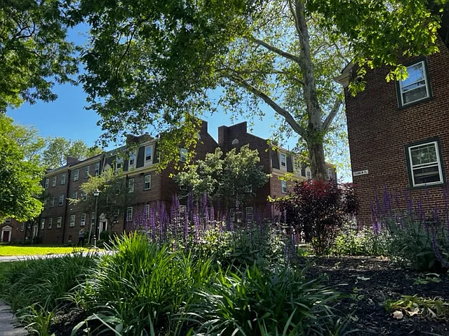 1 bed, 629 sqft, $1,199 — Photo 4