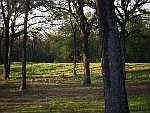 2nd image of 5998 County Road 4068