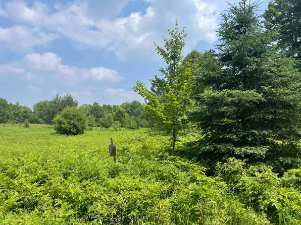 N14730 Wontor Rd #4, Amberg, WI 54102