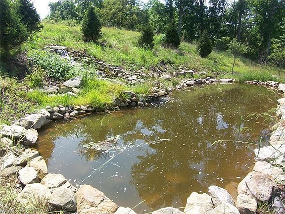 Koi Pond with spring fed water fall