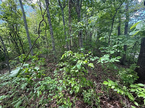 4th image of 9999 Chestnut Flat Rd