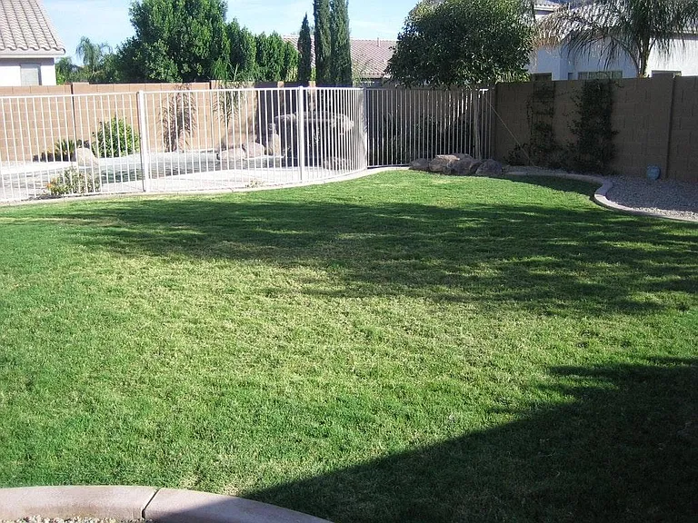 Grassy play area in back