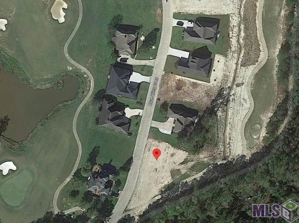 30755 Blue Wing Cres, Springfield, LA 70462