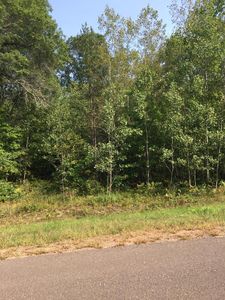 34 Shady Ln, Siren, WI, 54872