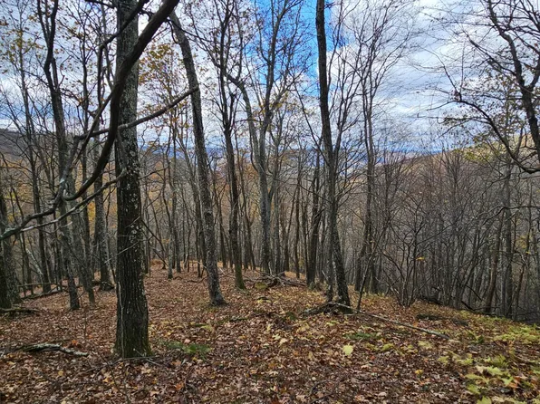 0 Jack Mountain Rd, Monterey, VA 24465