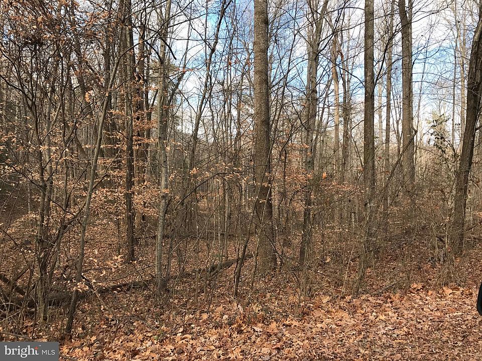 1st image of S White Oak Dr