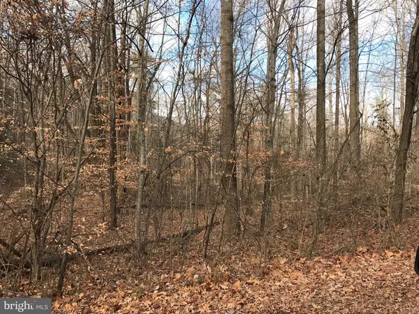 S White Oak Dr, Madison, VA 22727