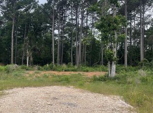 11338 Annie Creek Dr, Willis, TX 77378