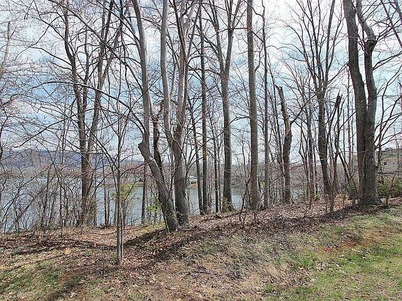 3rd image of 35 Blackwater Cir