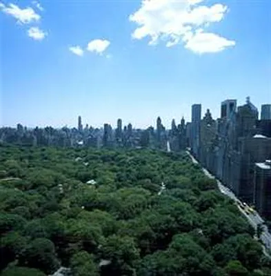 Sold by Douglas Elliman | media 4