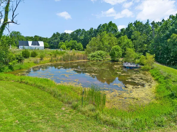 000 Green Hill Road, Fordland, MO 65652