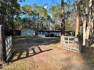 156 HORSETAIL Avenue, Middleburg, FL 32068