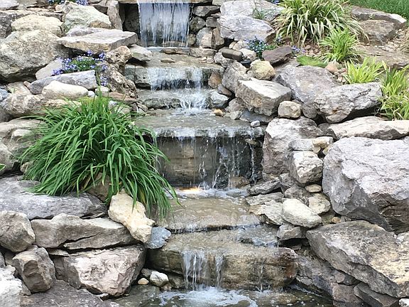 Koi Pond