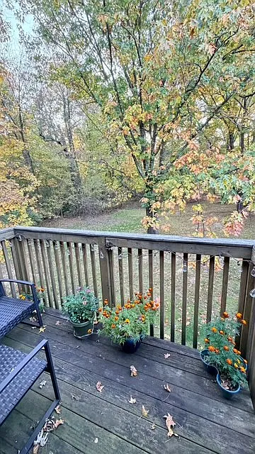 1 bed, 800 sqft, $1,800 — Photo 2