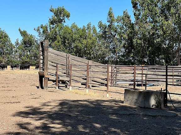 Wire corrals with shute