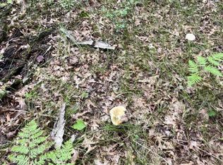 LOT 2 Crampton Rd, Warrens, WI 54666