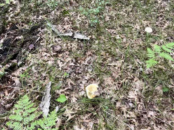 lot 2 Crampton Road #2, Warrens,warrens, WI 54666