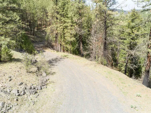 31875 Hawk Creek Ranch Rd N, Davenport, WA 99122