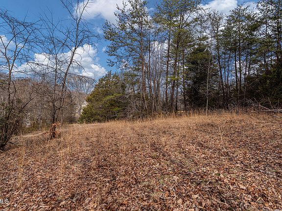 23rd image of 8167 Asheville Hwy