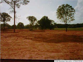 2nd image of 172 Oak Ridge Lakes Dr